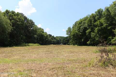 0 Wild Valley Lane, Jackson, TN 38305