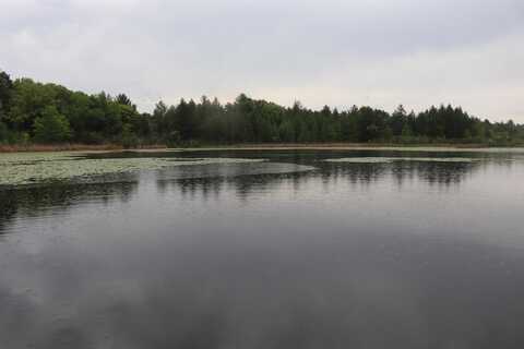 N5642 8th Drive, Westfield, WI 53964