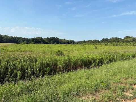 0 Judge Logue Road, Newton, AL 36352