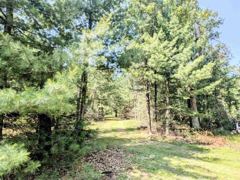 1031 Edgewood Avenue, Adams, WI 53910
