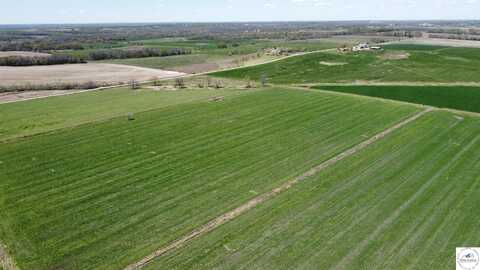 220 Acres M/L Bailey, Metz, MO 64765