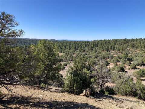 Tbd Parkview Hills Lot 28, Rutheron, NM 87551