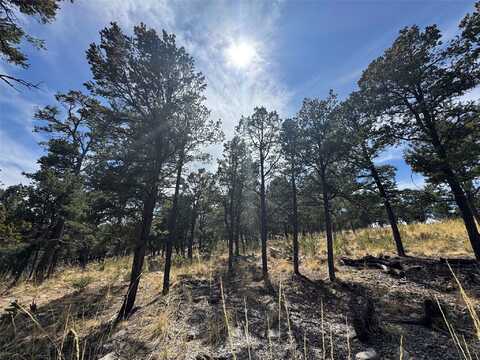 Lot 25 Lot 25, Pecos, NM 87552