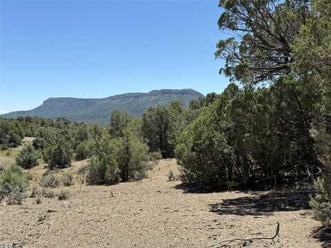 0 Christy Lane, Los Ojos, NM 87551