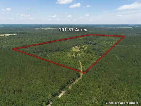 440 Holt Rd, Wray, GA 31798