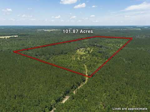 440 Holt Rd, Wray, GA 31798