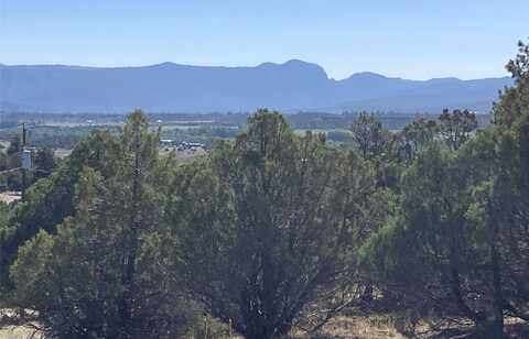Tbd Parkview Hills Lots 8 and 9, Rutheron, NM 87551