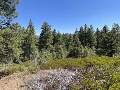 North Fork, NA, UT 84762