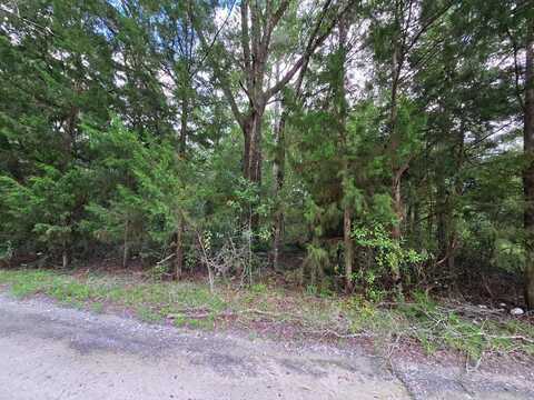 84th Ln, Trenton, FL 32693