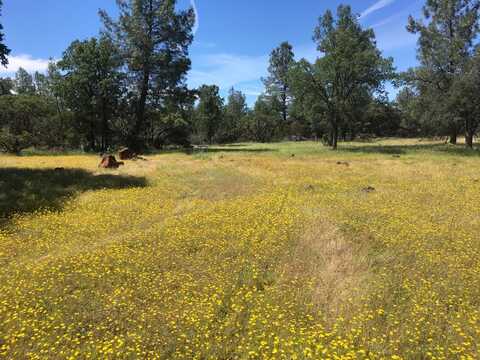Highway 44, Millville, CA 96062