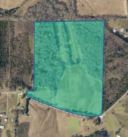 52.00 acres Co Rd 321, Moulton, AL 35650