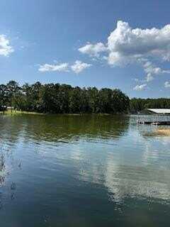 711 Galaxy Drive South, Abbeville, AL 39854