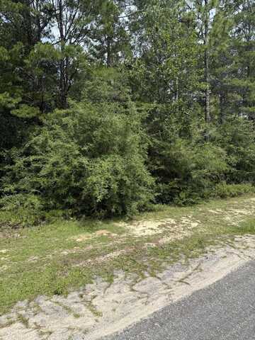 16 Lots Watson Rd, DeFuniak Springs, FL 32433
