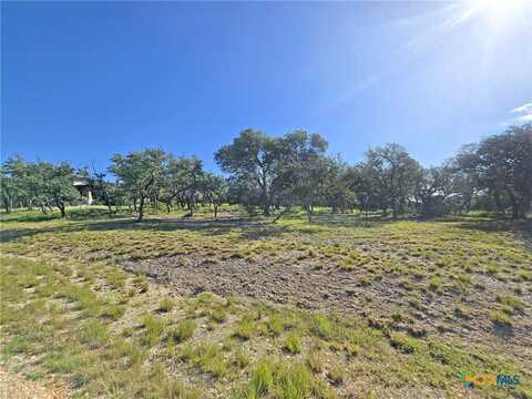 1534 Lake Ridge Boulevard, Canyon Lake, TX 78133
