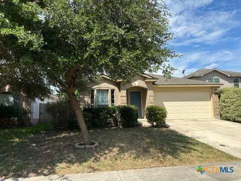 221 Roadrunner Avenue, New Braunfels, TX 78130