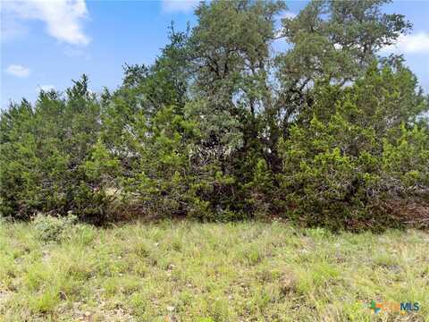 141 Vista View Place, Spring Branch, TX 78070