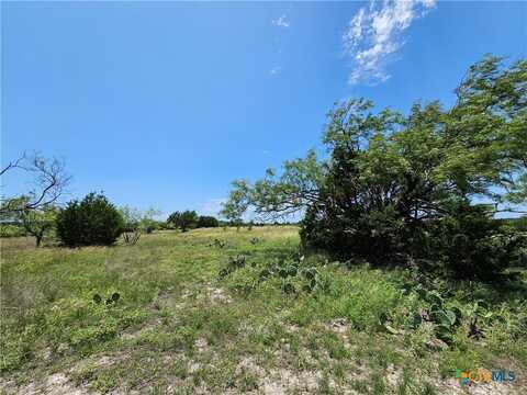 Lot 111 Shin Oak Drive, Lampasas, TX 76550