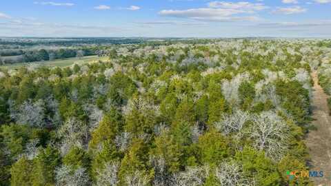 16945 FM 713, Rosanky, TX 78953
