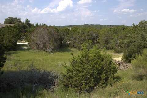 Tbd William Travis, Fischer, TX 78623
