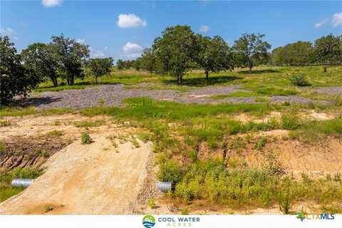 1010 Ferguson Loop, Dale, TX 78616