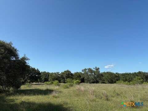 00 Spanish Grant Rd, Goliad, TX 77963