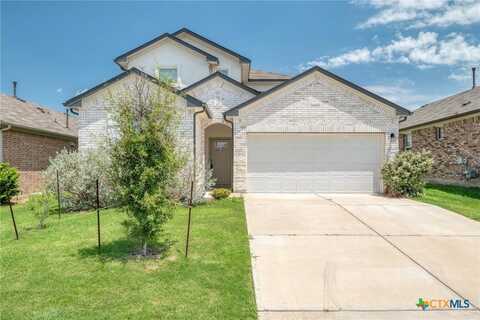 113 Finley Rae Drive, Georgetown, TX 78626