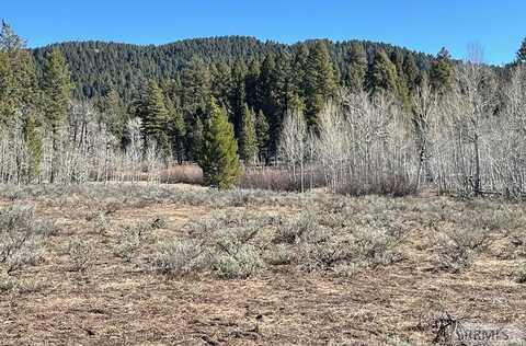 0 Camas Road, Kilgore, ID 83423