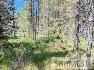 4009 Coyote Road, Island Park, ID 83420