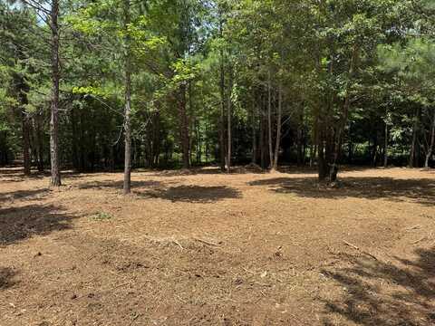 Miles Holt Walk, Clarksville, VA 23927