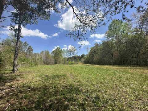 390 Old Mill Road, Chesnee, SC 29323