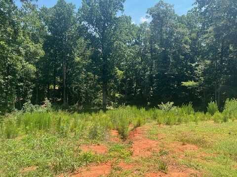 212 Farmington Court, Moore, SC 29369