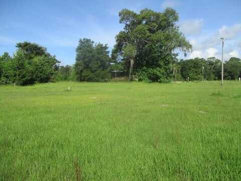 8062 Holly Island Dr., Donalsonville, GA 39845