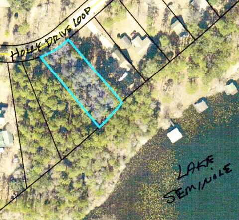 Lot 1014 Holly Drive Loop, Donalsonville, GA 39845