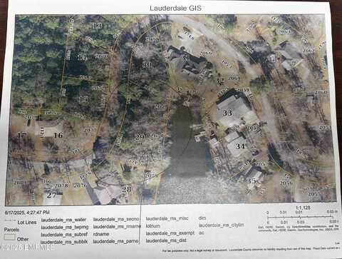 8948 Lake Flora Drive, Lauderdale, MS 39335