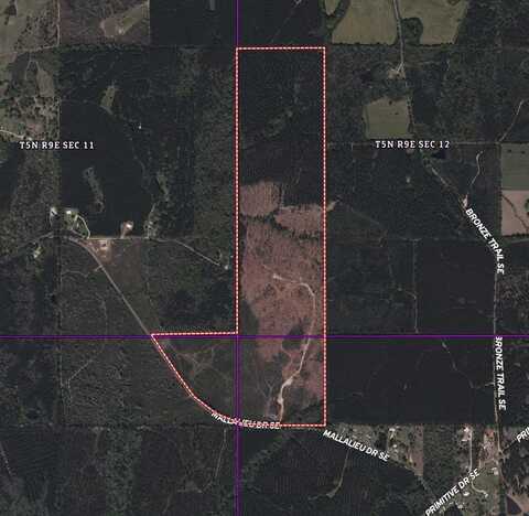 1234 Mallilieu rd, Ruth, MS 39662