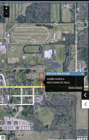 405 E Main Street, Hale, MI 48739