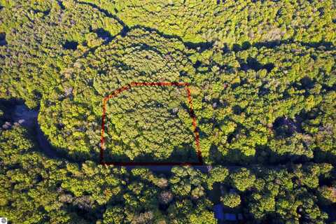 V/L Forestgrove Drive, Elmira, MI 49730