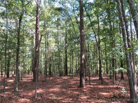 Rocky Fork Church Road, Sanford, NC 27332