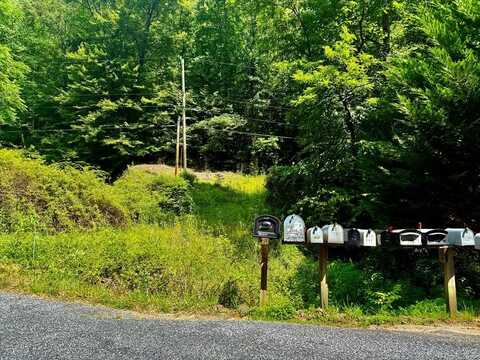 Bradley Branch Road, Whittier, NC 28789