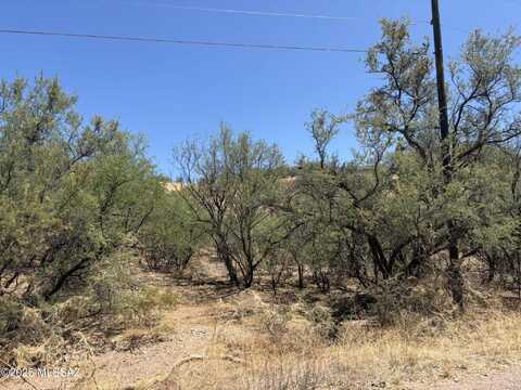 338 Nuevo Leon Court, Rio Rico, AZ 85648