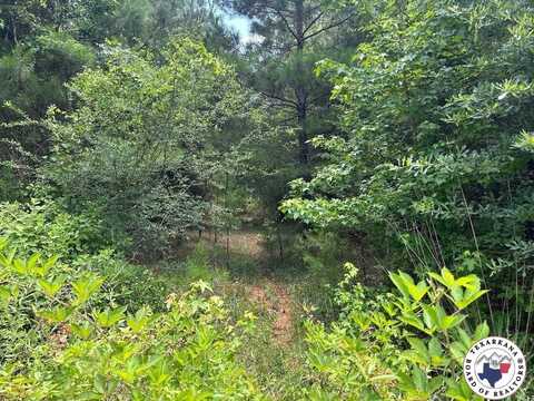 TBD CR 4342, Bivins, TX 75555