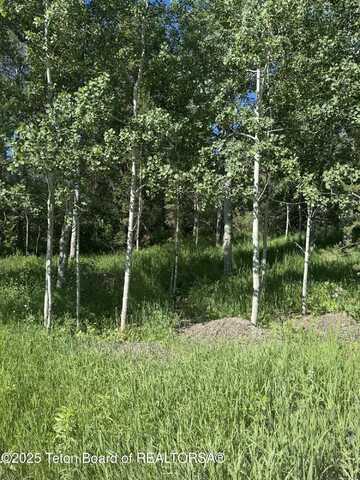 L22 CARIBOU FOREST DRIVE, Alpine, WY 83128