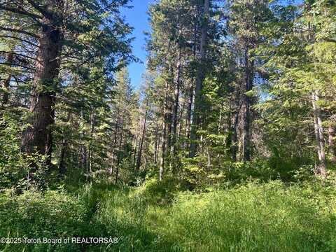 190 WOLVERINE Way, Tetonia, ID 83452