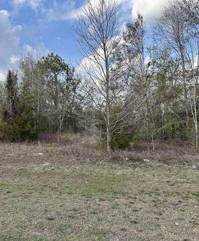 E US Highway 90, Lee, FL 32059