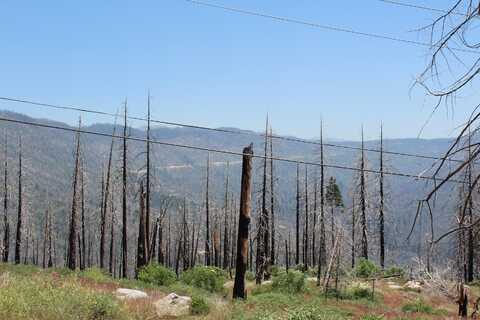 52954 Alpine Drive, Springville, CA 93265