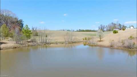 10 Acres Lot C Hauser Road, Pinnacle, NC 27043