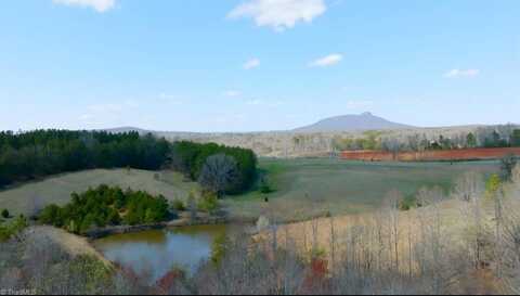 10 Acres Lot C Hauser Road, Pinnacle, NC 27043
