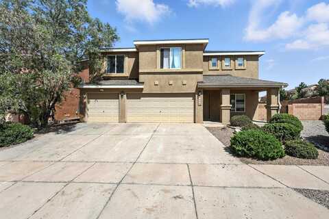 1230 CARRIZO Street NW, Los Lunas, NM 87031