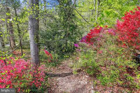 6662 VAN WINKLE DRIVE, FALLS CHURCH, VA 22044