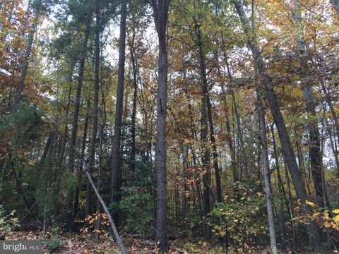 214 NORFOLK DRIVE, RUTHER GLEN, VA 22546